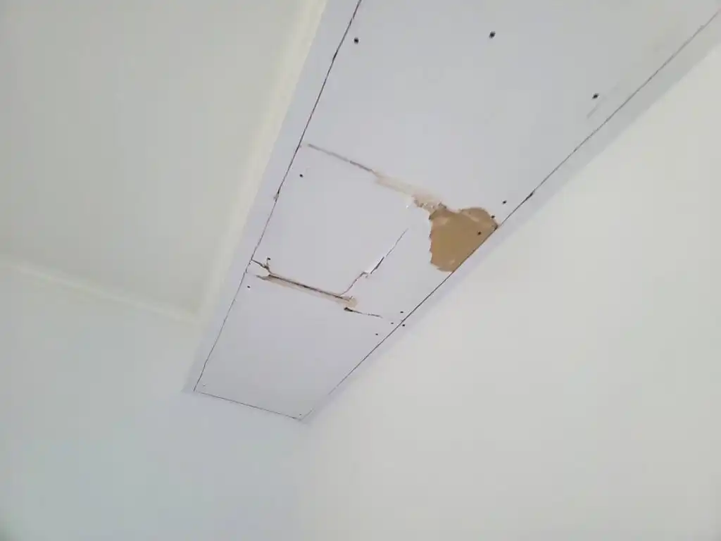 Delta Strata Poly B Replacement | Ladner – Case Study #389 8 Delta Strata Poly B Replacement | Ladner – Case Study #389 7