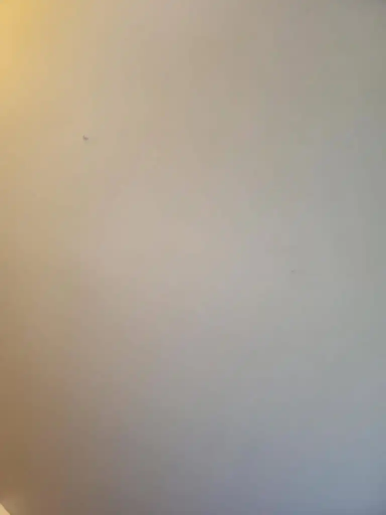 Delta Poly B Replacement | Vancouver – Case Study #396 91