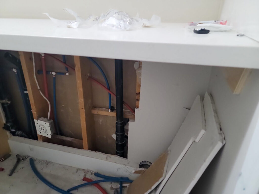 Ladner Townhouse Poly B Replacement | Delta – Case Study #390 193