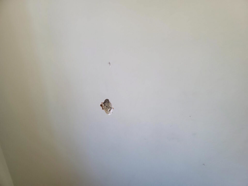 Ladner Townhouse Poly B Replacement | Delta – Case Study #390 253