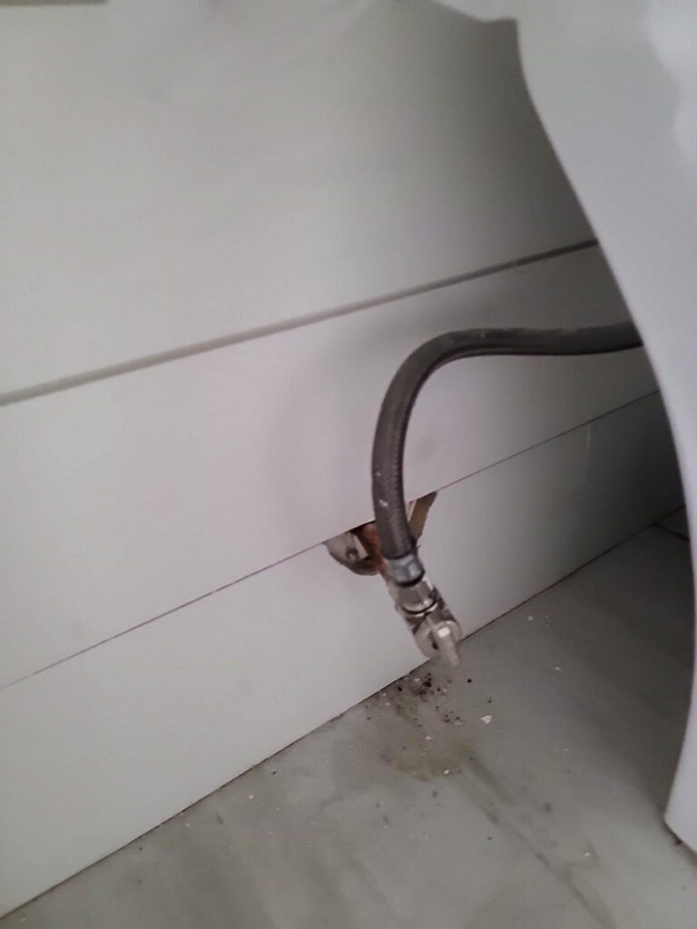 Ladner Townhouse Poly B Replacement | Delta – Case Study #390 273