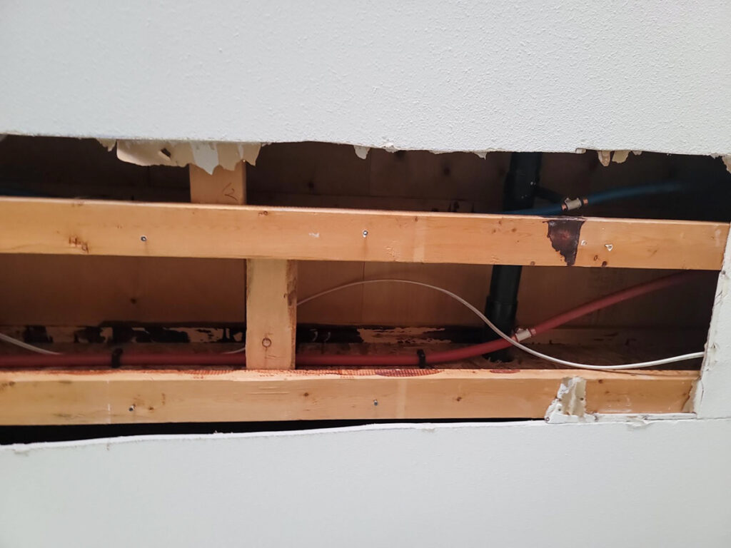 Ladner Townhouse Poly B Replacement | Delta – Case Study #390 279