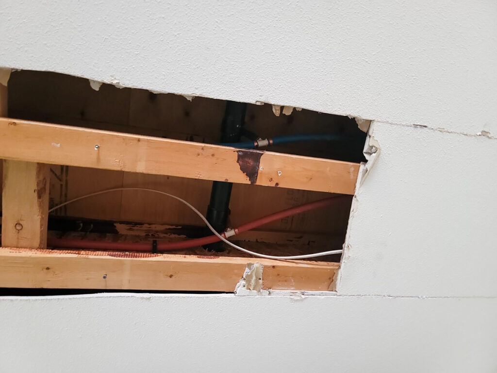 Ladner Townhouse Poly B Replacement | Delta – Case Study #390 281