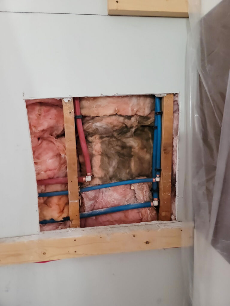 Ladner Townhouse Poly B Replacement | Delta – Case Study #390 283