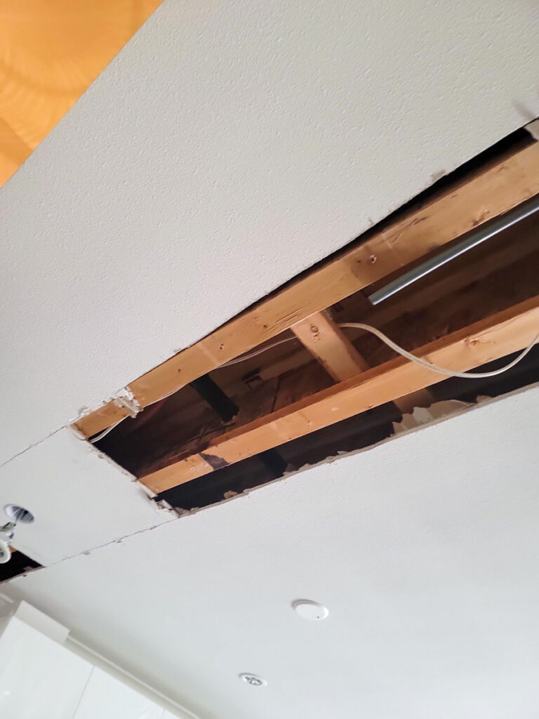 Ladner Townhouse Poly B Replacement | Delta – Case Study #390 1