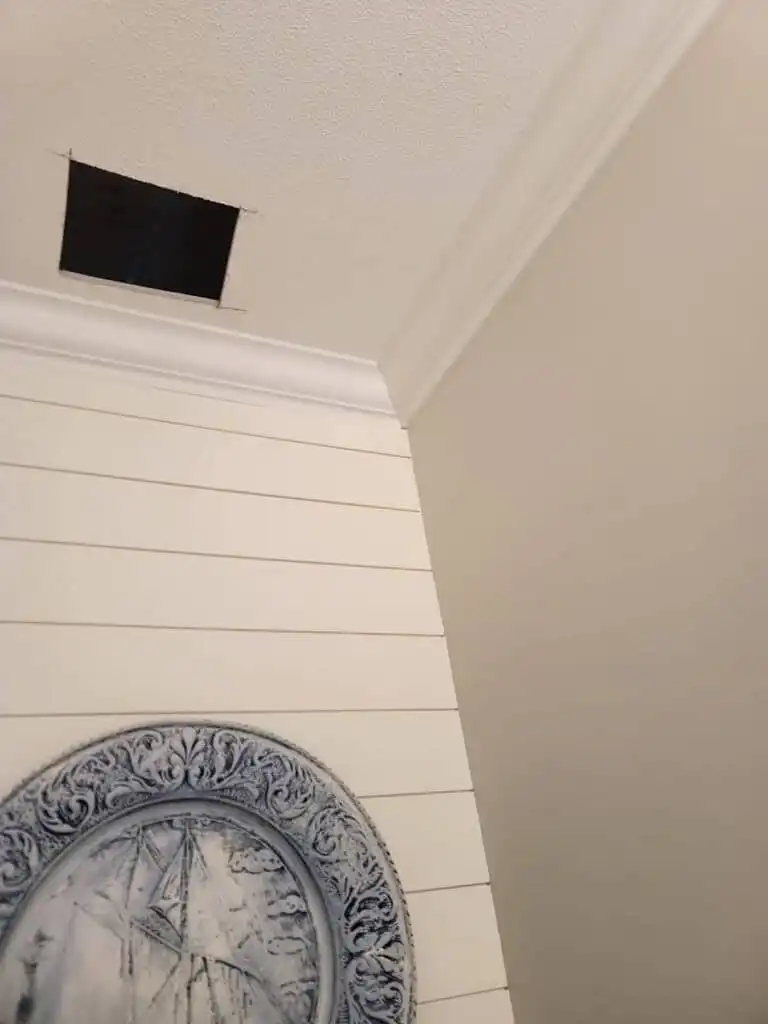 Ladner Townhouse Poly B Replacement | Delta – Case Study #390 39