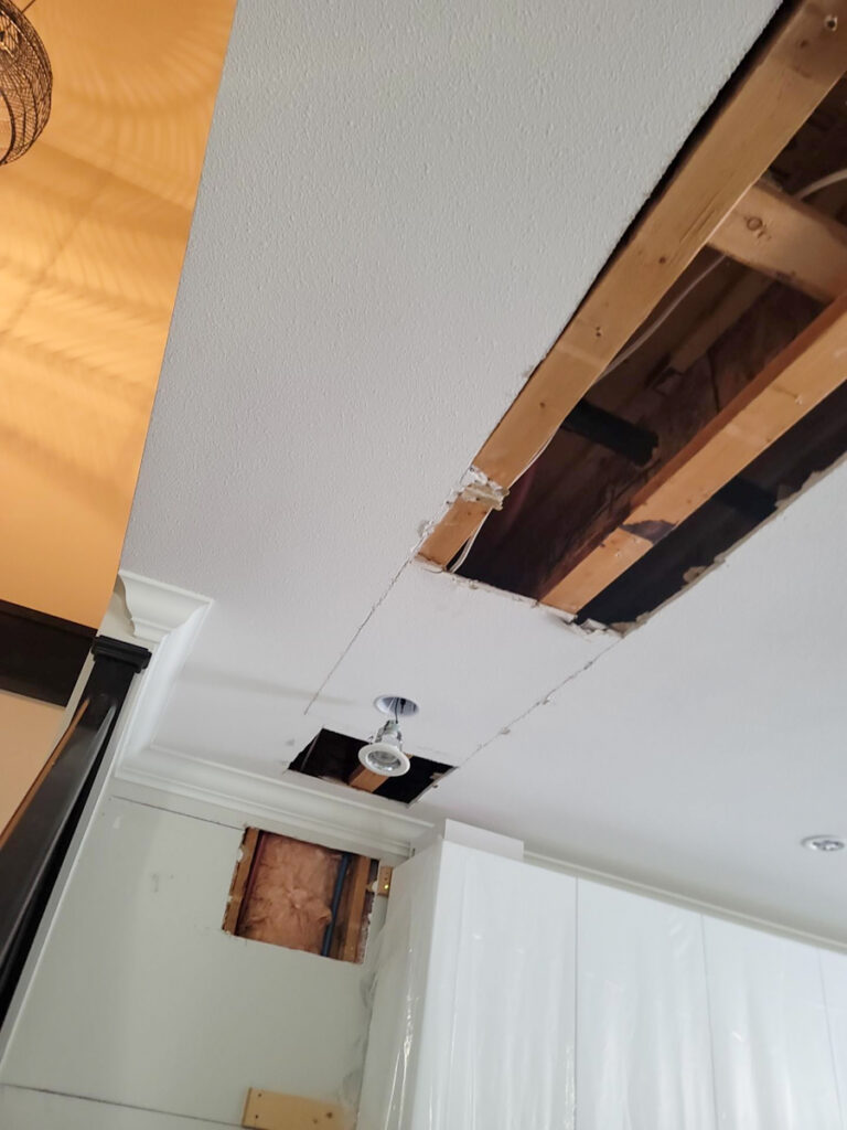 Ladner Townhouse Poly B Replacement | Delta – Case Study #390 3