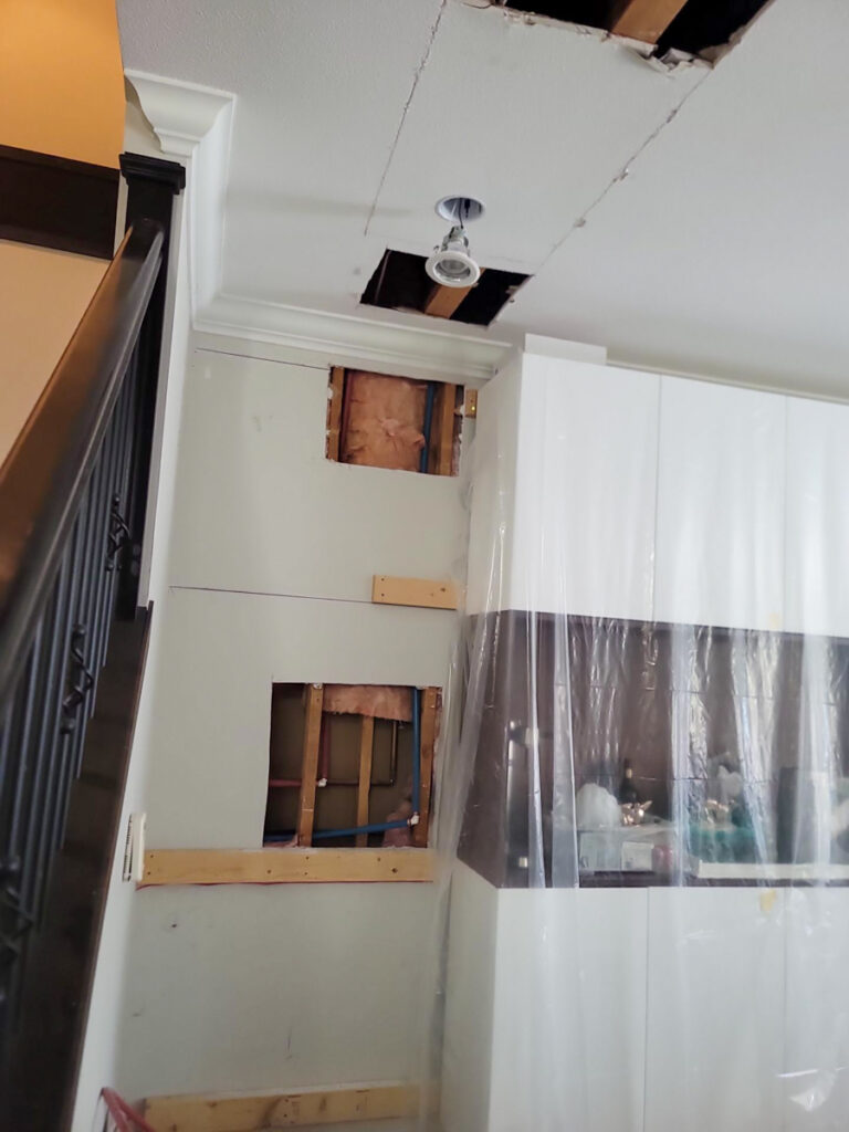 Ladner Townhouse Poly B Replacement | Delta – Case Study #390 5