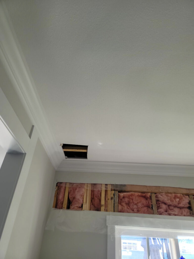 Ladner Townhouse Poly B Replacement | Delta – Case Study #390 113