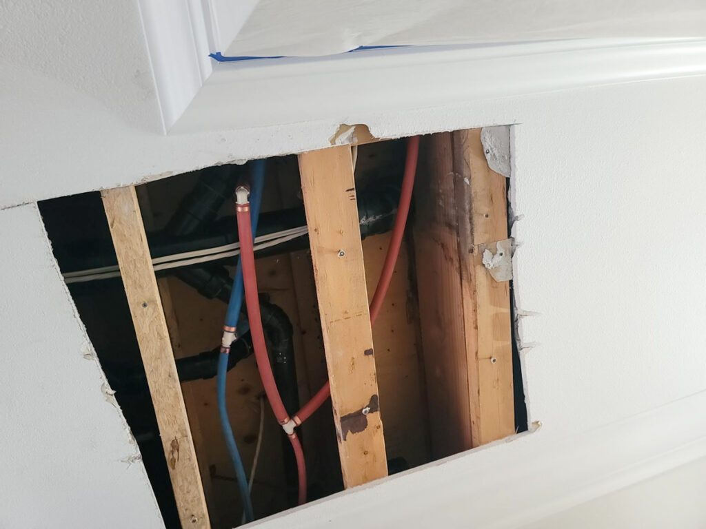 Ladner Townhouse Poly B Replacement | Delta – Case Study #390 131