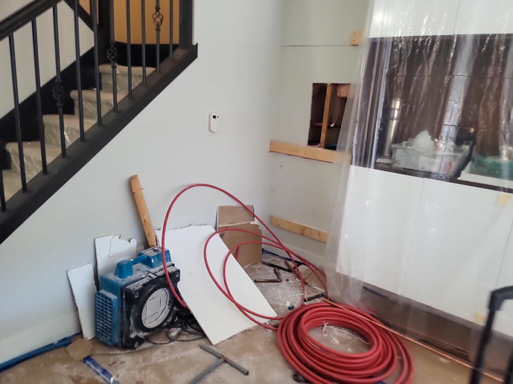 Ladner Townhouse Poly B Replacement | Delta – Case Study #390 141