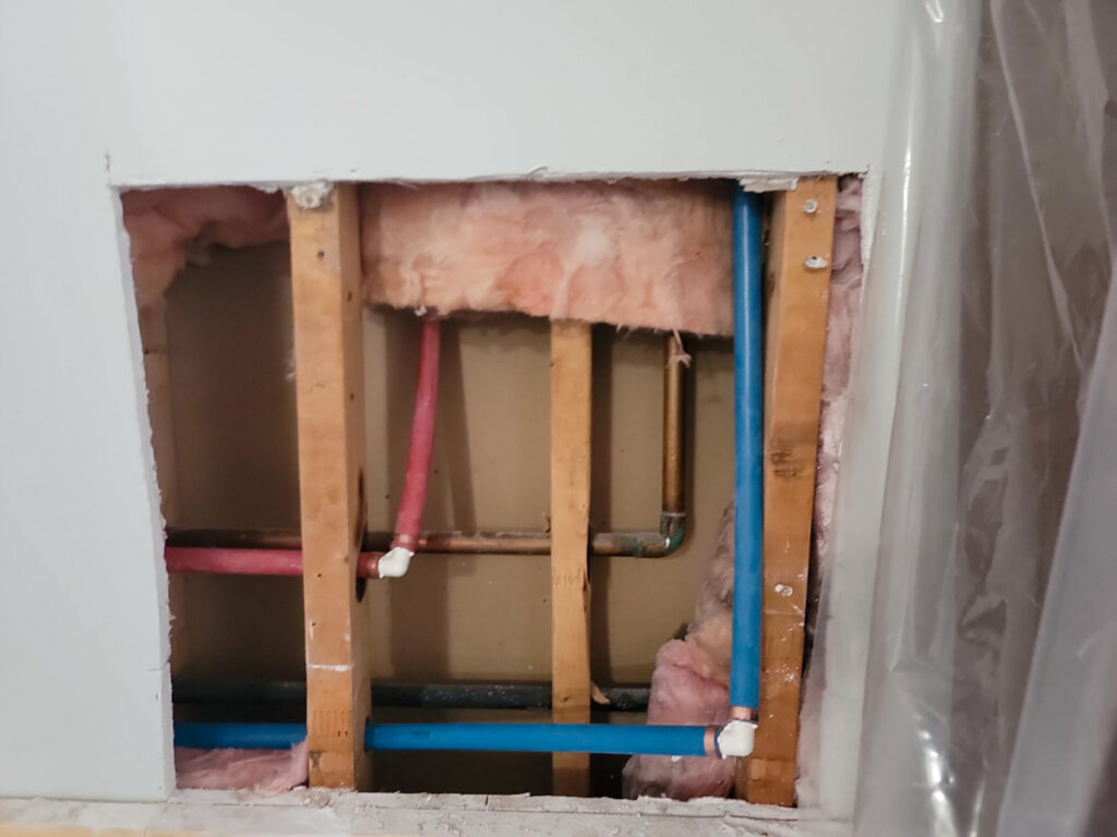 Ladner Townhouse Poly B Replacement | Delta – Case Study #390 143