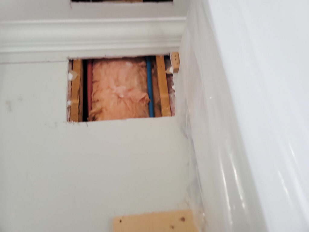 Ladner Townhouse Poly B Replacement | Delta – Case Study #390 145