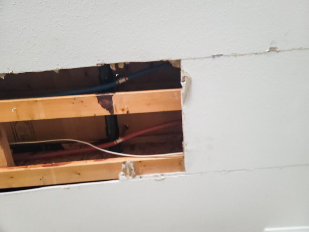 Ladner Townhouse Poly B Replacement | Delta – Case Study #390 149