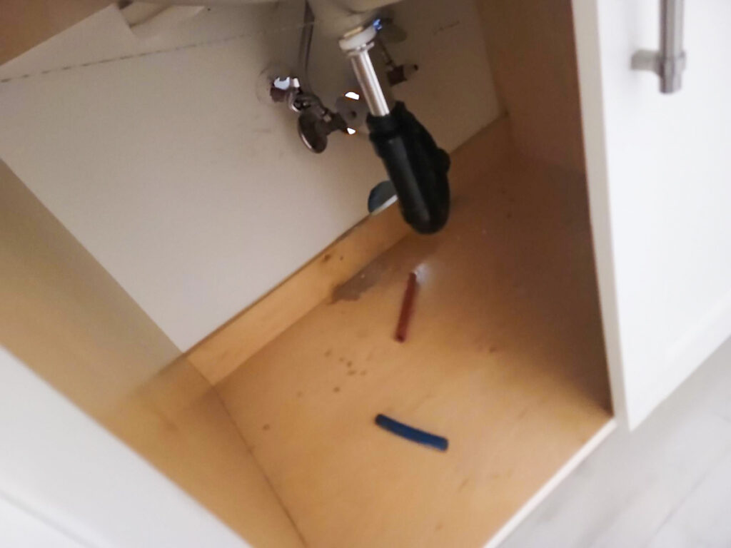 Ladner Townhouse Poly B Replacement | Delta – Case Study #390 153