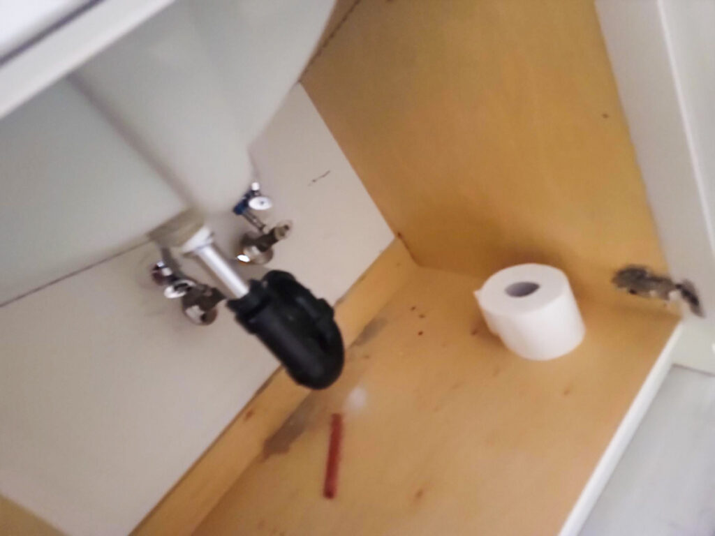 Ladner Townhouse Poly B Replacement | Delta – Case Study #390 155