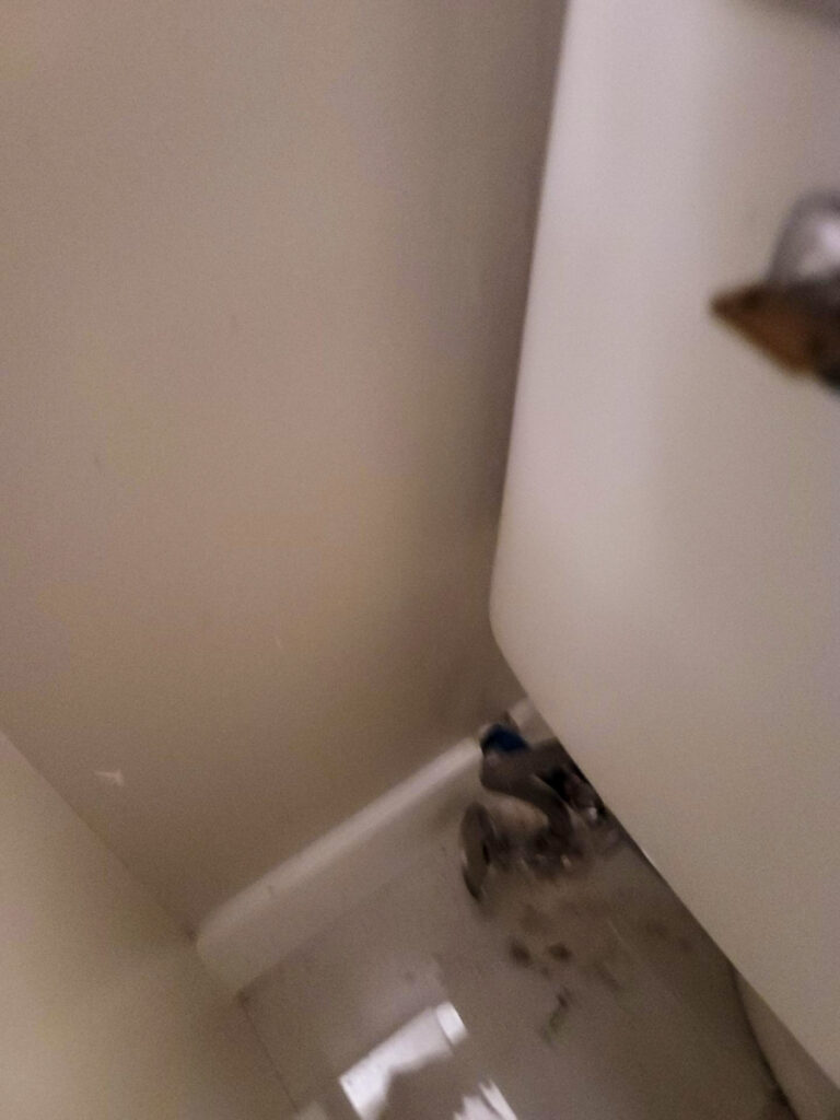 Ladner Townhouse Poly B Replacement | Delta – Case Study #390 157