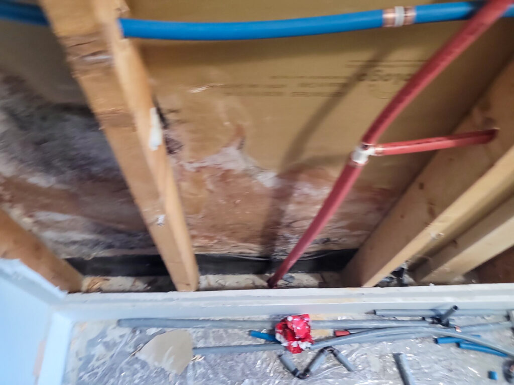 Ladner Townhouse Poly B Replacement | Delta – Case Study #390 181