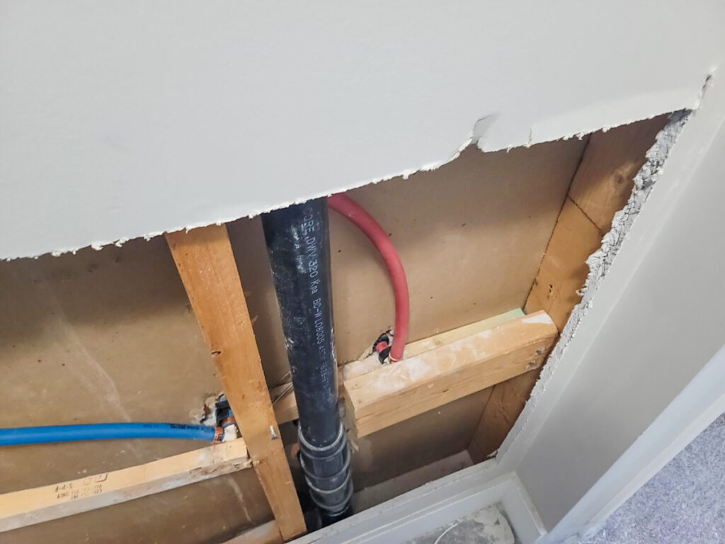 Ladner Townhouse Poly B Replacement | Delta – Case Study #390 189