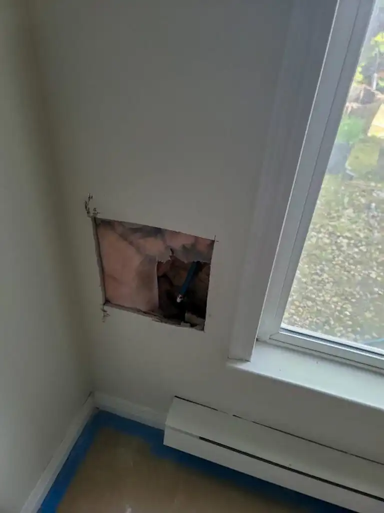 Ladner Townhouse Poly B Replacement | Delta – Case Study #397 37