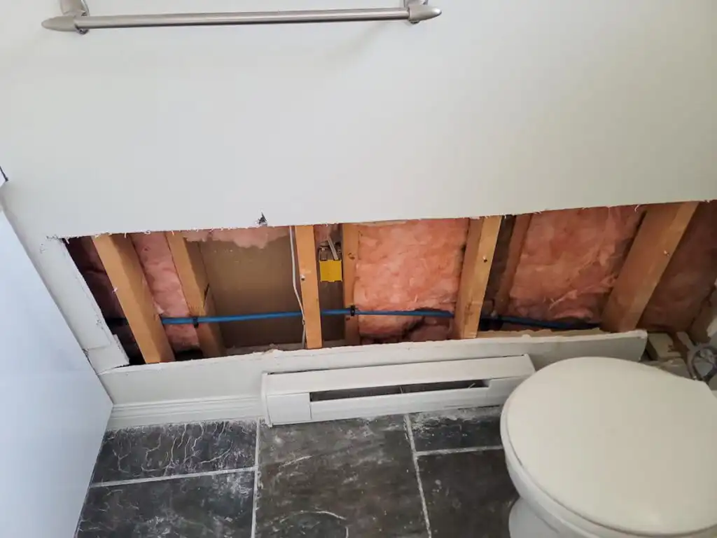 Ladner Townhouse Poly B Replacement | Delta – Case Study #397 5