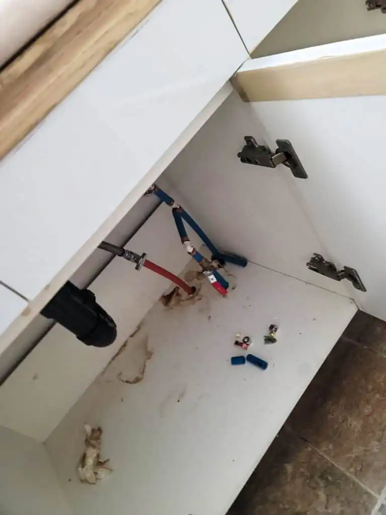 Ladner Townhouse Poly B Replacement | Delta – Case Study #397 93