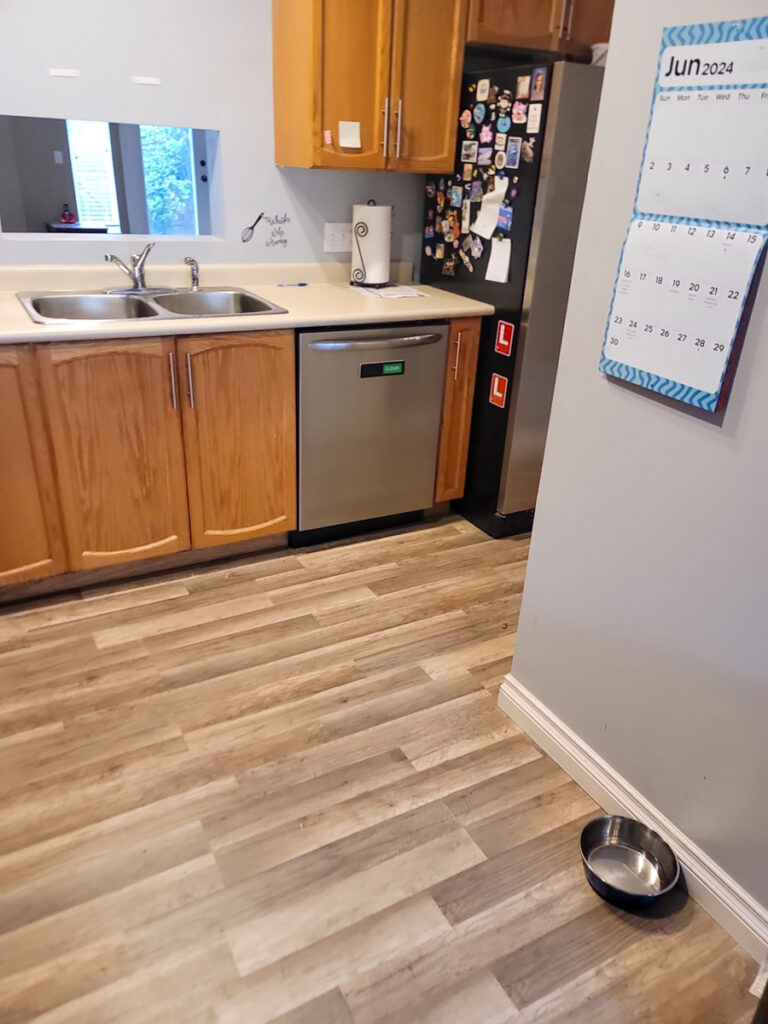 Ladner Renovation Poly B Replacement | Delta – Case Study #386 2 Ladner Renovation Poly B Replacement | Delta – Case Study #386 1