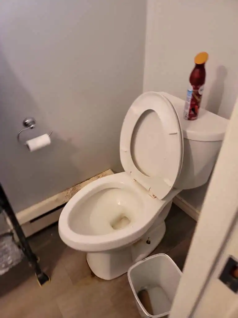 Ladner Renovation Poly B Replacement | Delta – Case Study #386 67