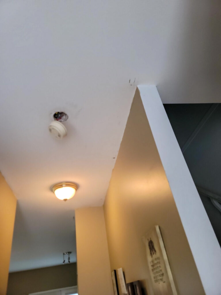 Ladner Renovation Poly B Replacement | Delta – Case Study #386 92 Ladner Renovation Poly B Replacement | Delta – Case Study #386 91