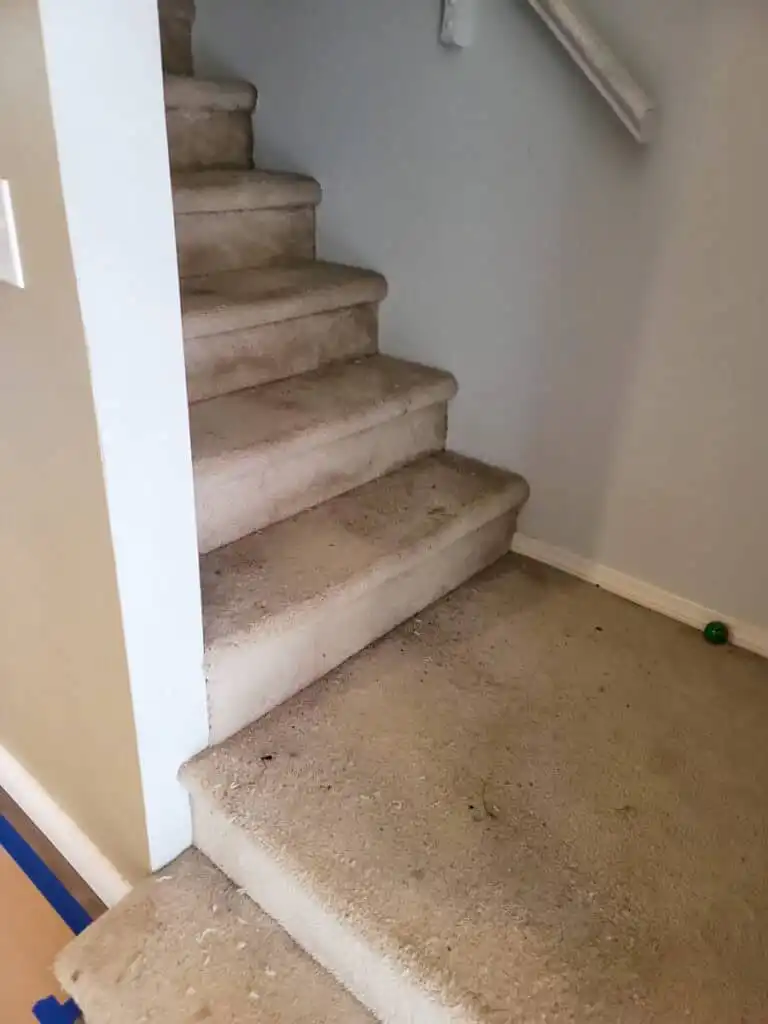 Ladner Renovation Poly B Replacement | Delta – Case Study #386 101