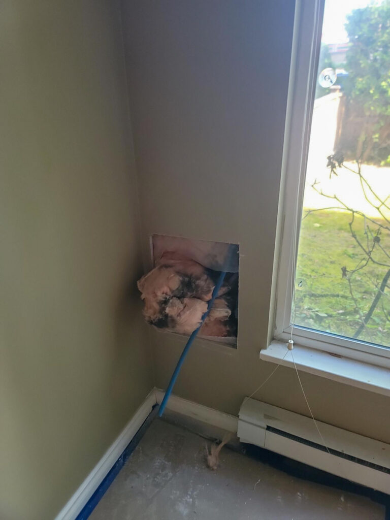 Ladner Renovation Poly B Replacement | Delta – Case Study #386 106 Ladner Renovation Poly B Replacement | Delta – Case Study #386 105