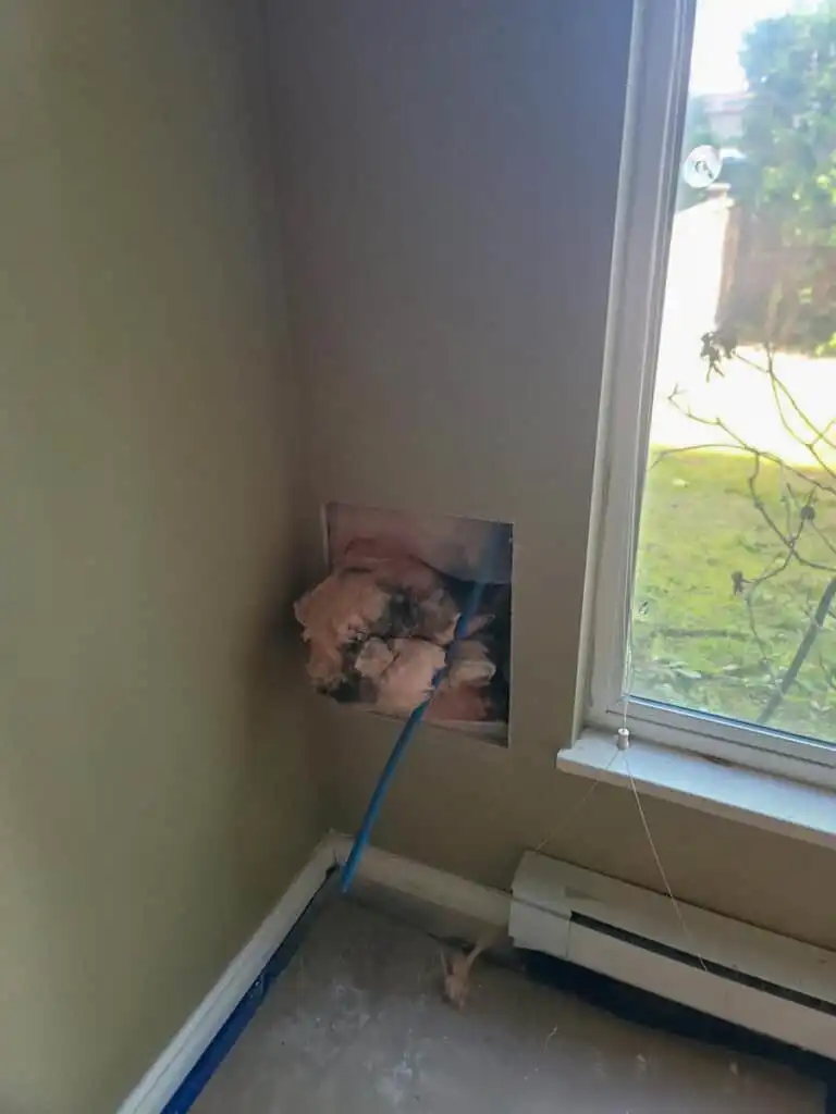 Ladner Renovation Poly B Replacement | Delta – Case Study #386 105