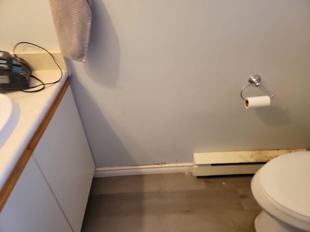 Ladner Renovation Poly B Replacement | Delta – Case Study #386 140 Ladner Renovation Poly B Replacement | Delta – Case Study #386 139