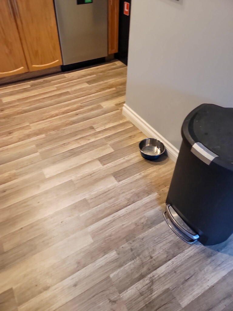 Ladner Renovation Poly B Replacement | Delta – Case Study #386 198 Ladner Renovation Poly B Replacement | Delta – Case Study #386 197