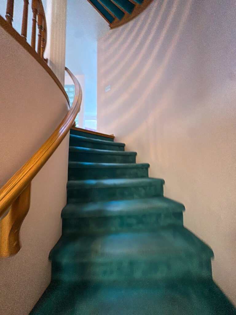 Monterey Park Poly B Replacement | Calgary – Case Study #537 57