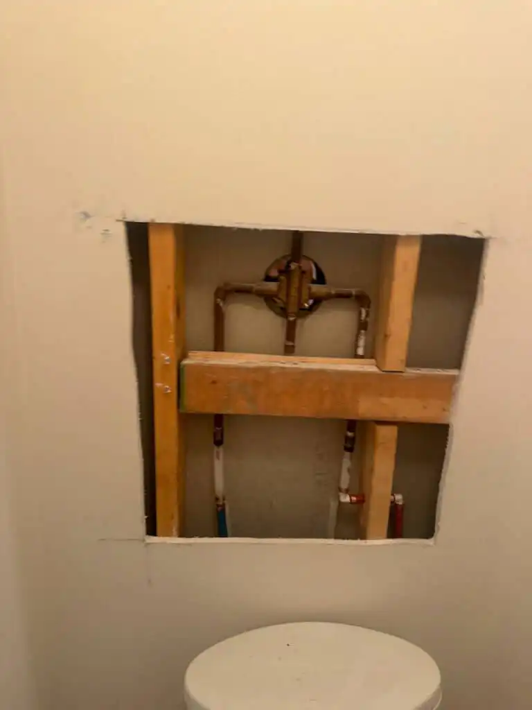 Heritage Mountain Poly B Replacement | Port Moody – Case Study #520 119