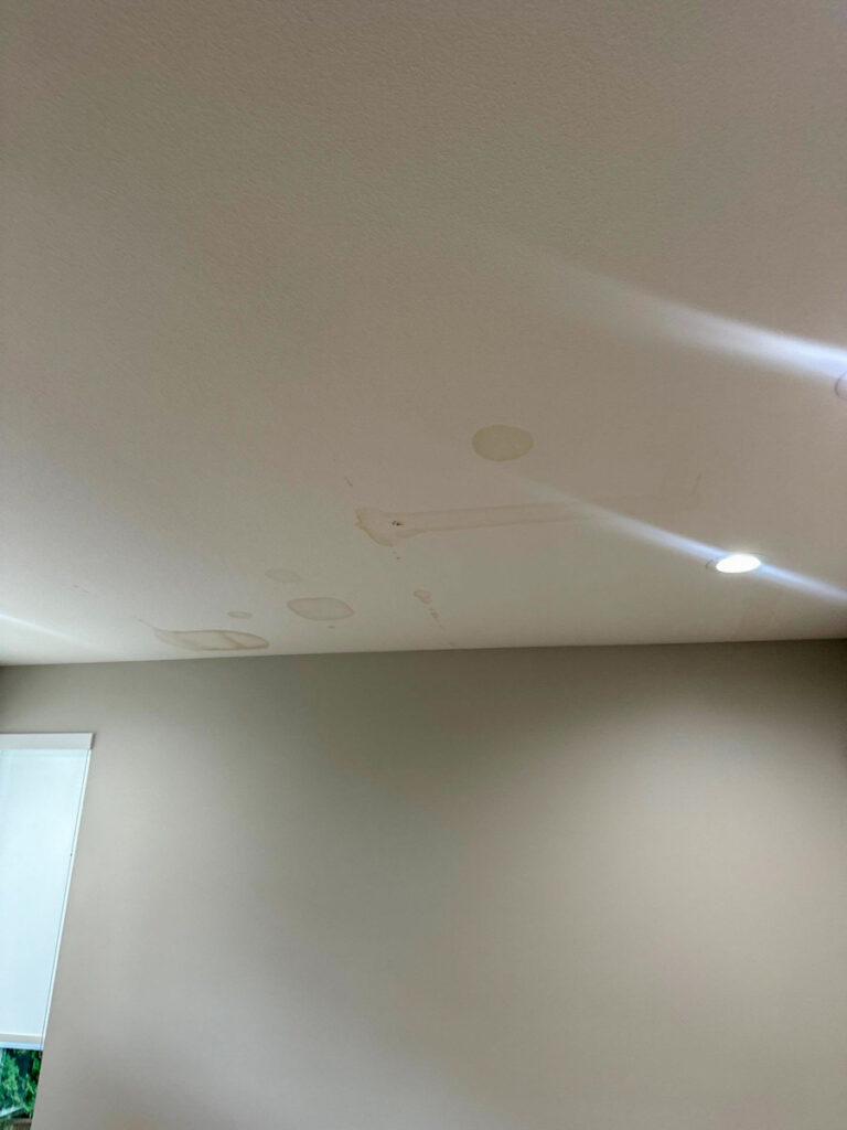 port moody repipe poly b replacement 17