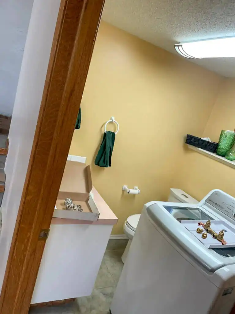 Spruce Grove Poly B Replacement | Edmonton – Case Study #357 23