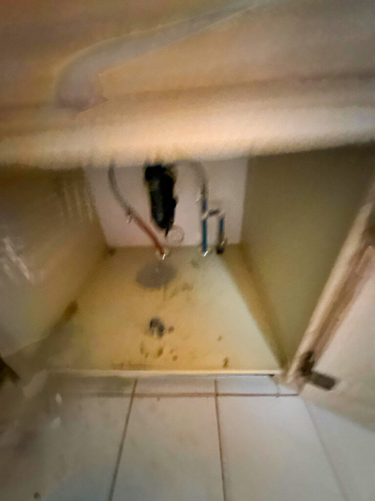 sunset vancouver poly b 38